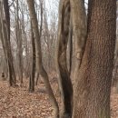 우장산둘레길 이미지