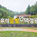 달빛숲속마을 | 강원도 여행지 평창 여행 사진찍기좋은곳 효석문화마을 효석달빛언덕정원