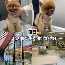 24시SNC동물메디컬센터 | [대전 동물병원] 강아지 건강검진 24시간 운영하는 ‘24시 타임동물메디컬센터’