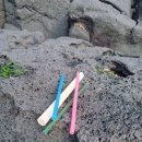 티제이컴퍼니 이미지