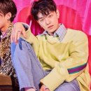 그루비펫 이미지