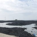 푸른신창 이미지