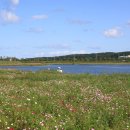 경포저류지 이미지