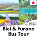 사계플라워팜바이오 | 삿포로 비에이 투어 버스투어 사계채언덕 청의호수 흰수염폭포 팜토미타