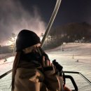 화이트파크 이미지