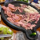 신비숲X가든 이미지