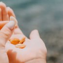 “섬유질 풍부”… 변 못 봐 괴로울 때, ‘이것’ 먹어라~ 이미지