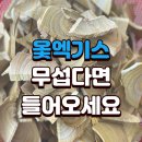늘푸른건강원