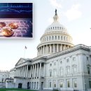 상원, 2026년 중간선거를 앞두고 암호화폐 업계에 타격 주는 명확성 법안(Clarity Act) 처리 실패 이미지