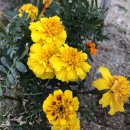 대봉2동 행정복지센터 이미지