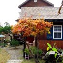 나이테펜션 이미지