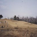 원주김씨 묘역 이미지