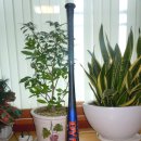 097.우체국_1 이미지