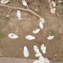 목련약국 이미지