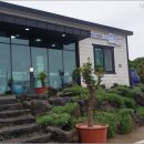 전복마시문어마시