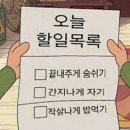 안양판교로 이미지