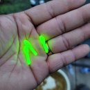 고막낚시터 이미지