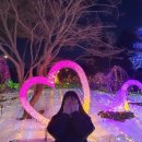 [2024] 패키지 투어 후기 (가평 잣향기숲, 아침 고요수목원)