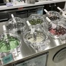 젤라또공대 이미지