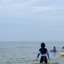 하조대해수욕장 화장실 3 이미지