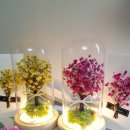 꽃으로 힐링 ** 이미지