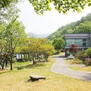 호수조경