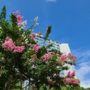 가현어린이공원 이미지