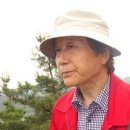 동행하다 이미지