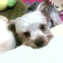 인천부흥초등학교 이미지