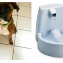 24시 애니동물병원 이미지