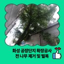 산업단지3길(풍산읍) | 화성 공장단지 확장공사 전 나무 제거 및 벌목