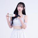 WIZ 이미지