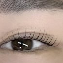 reve brow | 울산속눈썹펌 - 블랙틴팅펌을 하려거든 [레브브로우]로!