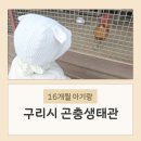 곤충생태관_3 | 16개월 아기랑 가볼만한 곳 구리시곤충생태관 다녀온 후기 무료 주차정보