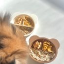 어뇽어뇽 이미지