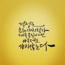 함초롱 Daum카페