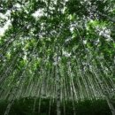 코레일 광주본부 이미지