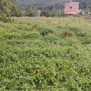 김현규농장 이미지