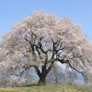 자연의 산물