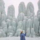 하늘별 영농조합법인 | 2026 설날 여행지 1위! 🧧 눈치게임 성공하고 인생샷 건지는 겨울 데이트 코스