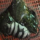 해적바다실내낚시터 이미지