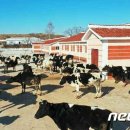 대안목장 이미지