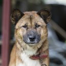 금골농장 이미지