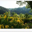 거창하수종말처리장 이미지