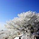 물흐르듯 이미지