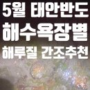 태안-안면-비상-14 | 2026년 5월 법정공휴일 노동절, 어린이날, 어버이날, 부처님오신날&amp;가족해루질,해루질 장소(feat.안면도...