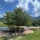 예다움사랑채 이미지