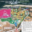 평화강변수목캠핑장 티스토리