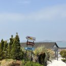 오션파라다이스(봉6) | 전남 무안 파라다이스 펜션 C3/오션뷰 개별 테라스가 있는 전남 펜션 내돈내산 후기