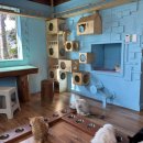 월드캣 | 제주 남원읍 캣월드 후기/ 아이와 가기 좋은 실내체험, 고양이 교감공간